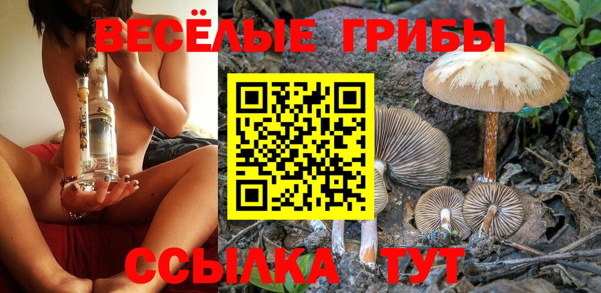 Галлюциногенные грибы ЛСД Белгород