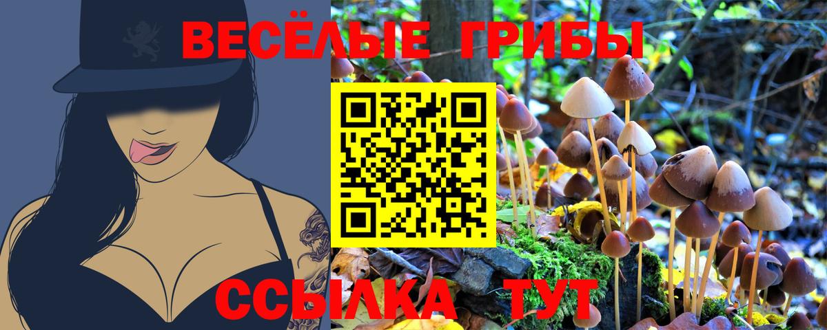 Псилоцибиновые грибы Psilocybe  Вход с VPN  Белгород 